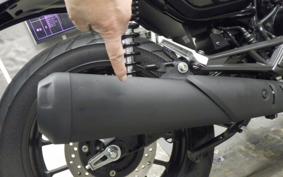 HONDA GB350S 2024 NC59