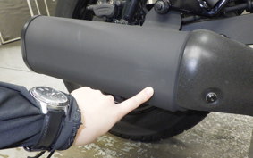 KAWASAKI ELIMINATOR400-3SE 2025