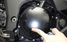 KAWASAKI NINJA 1000SX 2022 ZXT02K