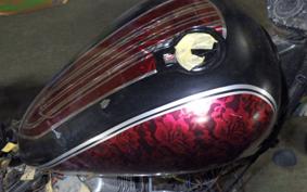 YAMAHA VIRAGO 250 3DM