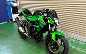 KAWASAKI Z250 SL BR250E