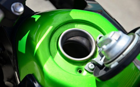 KAWASAKI KLX125D TRACKER X 2012 LX250V