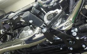 HARLEY FXBB1920 2026