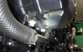 KAWASAKI Z900RS 2020 ZR900C