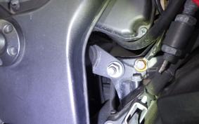 KAWASAKI NINJA 250R 2009 EX250K