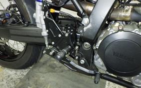 YAMAHA WR250X 2021 DG15J