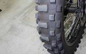 OTHER +UNREGISTERED MODEL by BDS125 2026