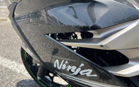 KAWASAKI NINJA 250 EX250P