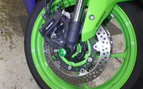 KAWASAKI ZX-4RR 2024