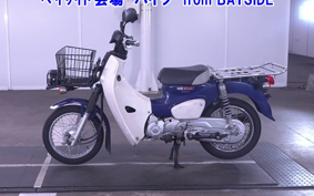 OTHER C110PU LOW 3