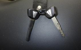 KAWASAKI NINJA 1000 SX 2023 ZXT02K