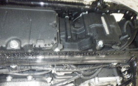 HARLEY FXST1750 2025