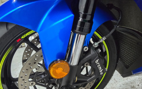 SUZUKI GSX-R1000R 2019 DM11A