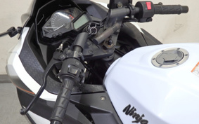 KAWASAKI NINJA 250 EX250L