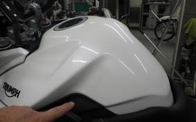 TRIUMPH TIGER 800 2019