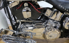 HARLEY FLSTC 2007 BW5
