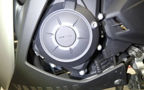 YAMAHA YZF-R25 2007 RG10J