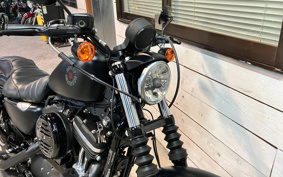 HARLEY XL883N 2019 LE2