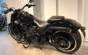 HARLEY FLFBS 2020 YRK