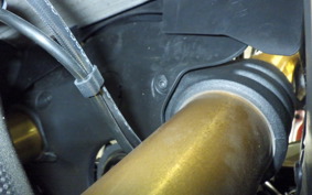 DUCATI 1299 PANIGALE R 2017