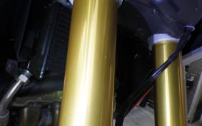DUCATI MULTISTRADA V4RS 2024