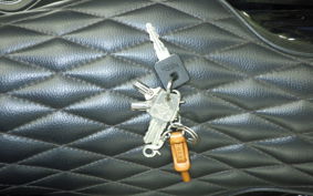 HARLEY XL1200XS 2018