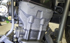 HONDA REBEL 250 2025 MC49