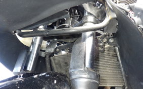 KAWASAKI NINJA 250 EX250L