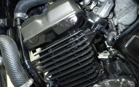 KAWASAKI BALIUS 250 Gen.2 2025 ZR250B