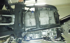 YAMAHA WR250X DG15J
