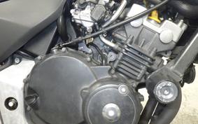 HONDA HORNET 250 2013 MC31