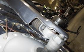 HONDA LITTLE CUB 2018 AA01