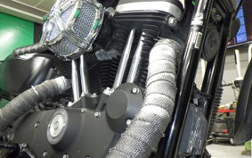HARLEY XL883N 2015
