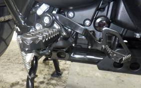 TRIUMPH SCRAMBLER 900 2023