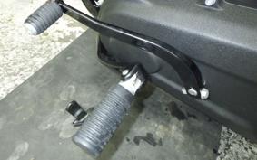 HARLEY FXBB1750 2019