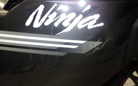 KAWASAKI NINJA 250 2 2023 EX250P