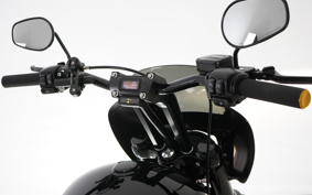 HARLEY FXBBS 2022 YYK