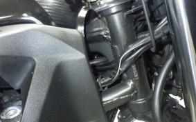 KAWASAKI Z250 2023 ER250C