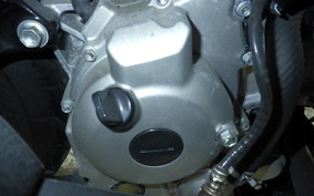 YAMAHA TRICITY 300 2021 SH15J