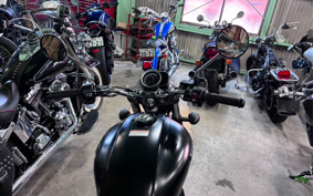 HONDA GB350 2024 NC59