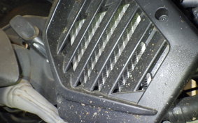 HONDA TACT Basket AF79