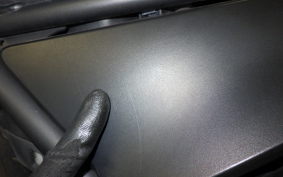 HONDA REBEL 250 2019 MC49