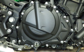 KAWASAKI Z250 Gen.2 2025 EX250Y