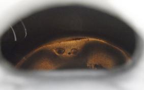 HUSQVARNA SVARTPILEN 125