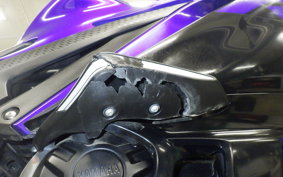 YAMAHA YZF-R25 2022 RG43J