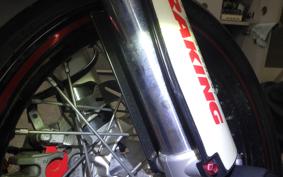 YAMAHA WR250X DG15J
