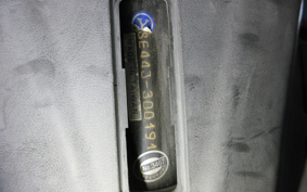 YAMAHA CYGNUS125XSR SE44J