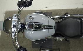 HARLEY FLFB1920 2025