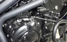 TRIUMPH TIGER 800 2014