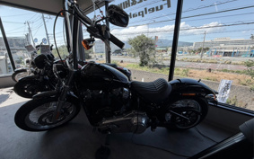 HARLEY FXST1340-1450 2020 BVJ
